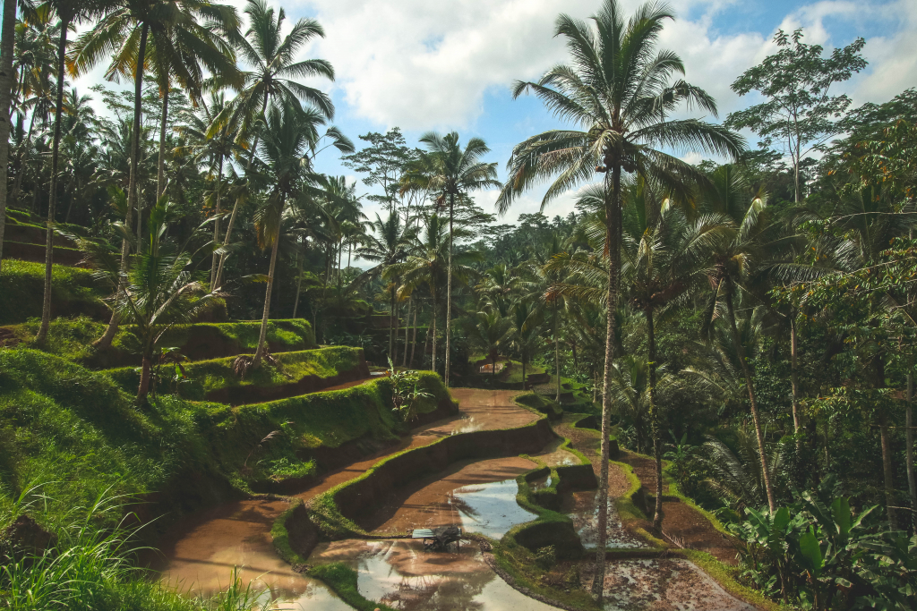 Partir en voyage de noces à Bali